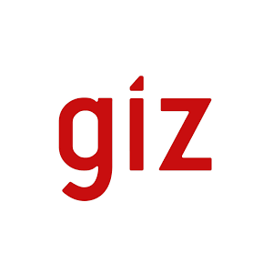 GIZ Egypt Logo